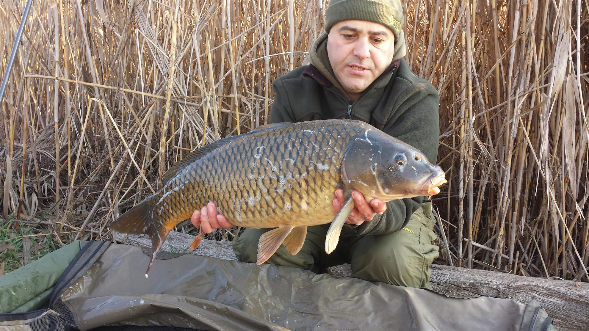 Tancabesti 14 - 16 mar. - 2014-03-15-081455.jpg